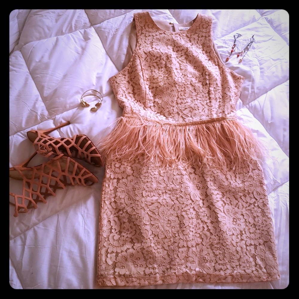 Womens Lace Feather Peplum dress